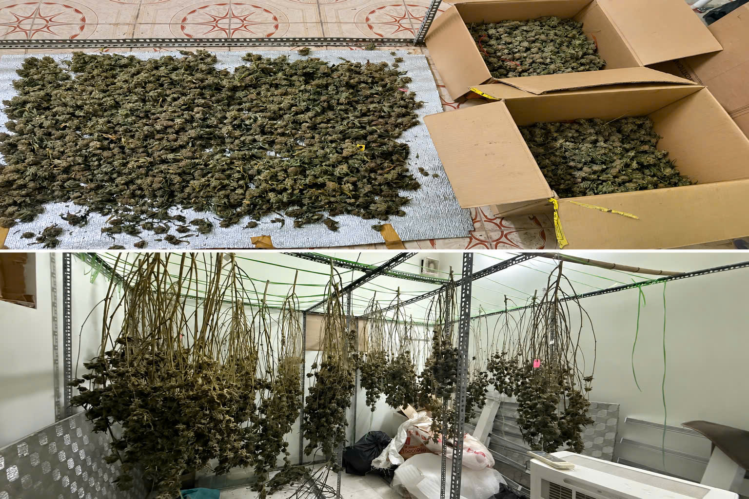Bí mật những căn nhà thuê đóng kín liên quan đến cần sa tại Hưng Yên năm 2026 - Ảnh 3. Bí mật những căn nhà thuê đóng kín liên quan đến cần sa tại Hưng Yên năm 2026 - Ảnh 3.