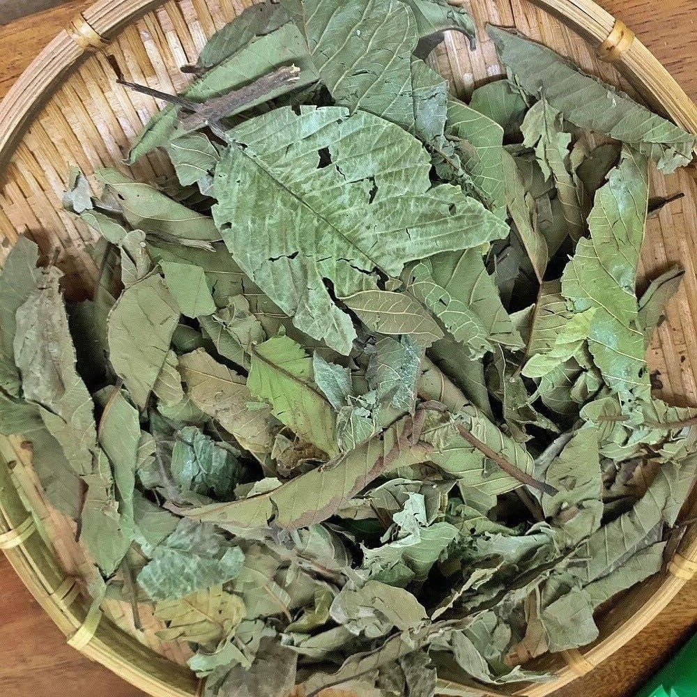  - Ảnh 4.