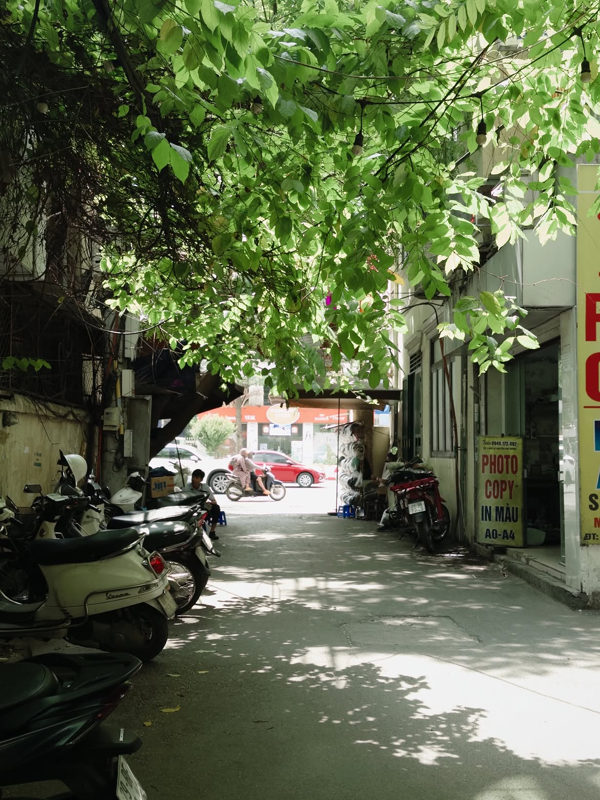 Trải nghiệm m&ugrave;a thu H&agrave; Nội: 10 Qu&aacute;n c&agrave; ph&ecirc; c&oacute; g&oacute;c nh&igrave;n tuyệt đẹp - Ảnh 29.