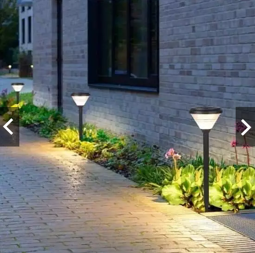 5 cách đuổi rắn độc đáo nhiều người không nghĩ tới - Ảnh 2.
