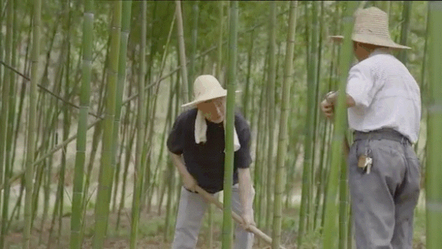 4 người trẻ 9X bỏ phố về quê xây nhà: Căn rẻ nhất 387 triệu - Ảnh 15. 4 người trẻ 9X bỏ phố về quê xây nhà: Căn rẻ nhất 387 triệu - Ảnh 15.
