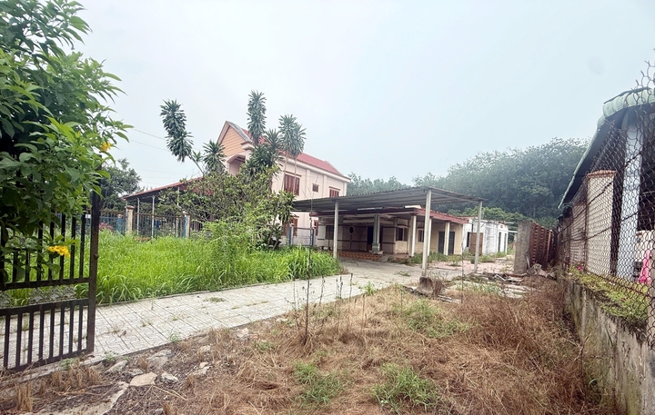  - Ảnh 1.
