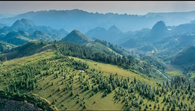 Phát hiện thảo nguyên cách Hà Nội 300 km, cảnh đẹp đến mức nhiều người ngỡ đang du lịch châu Âu - Ảnh 1.