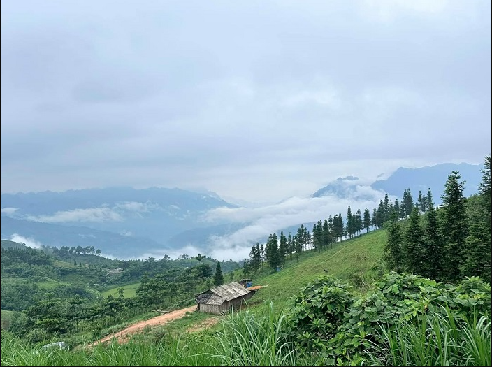 Phát hiện thảo nguyên cách Hà Nội 300 km, cảnh đẹp đến mức nhiều người ngỡ đang du lịch châu Âu - Ảnh 2.