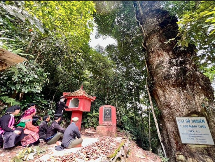 Phát hiện thảo nguyên cách Hà Nội 300 km, cảnh đẹp đến mức nhiều người ngỡ đang du lịch châu Âu - Ảnh 6.