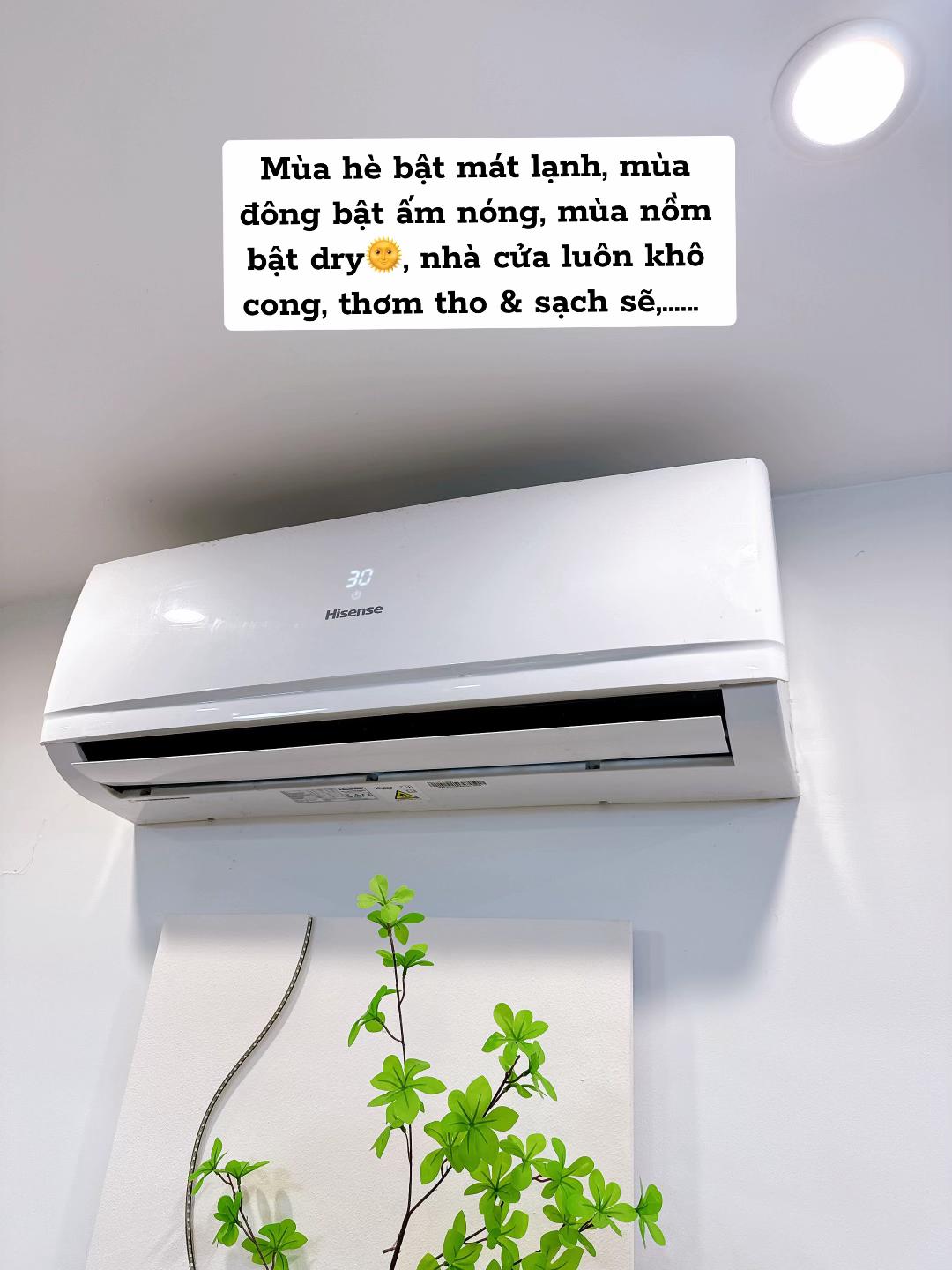  - Ảnh 5.