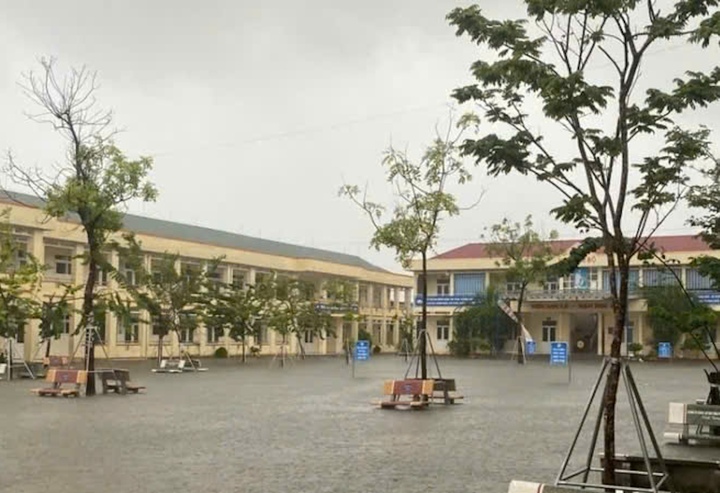  - Ảnh 5.