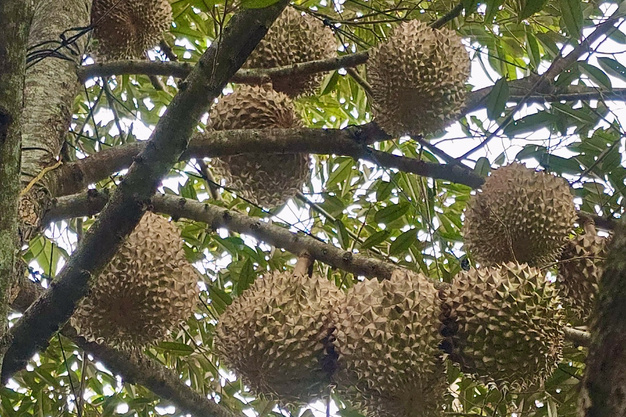  - Ảnh 3.
