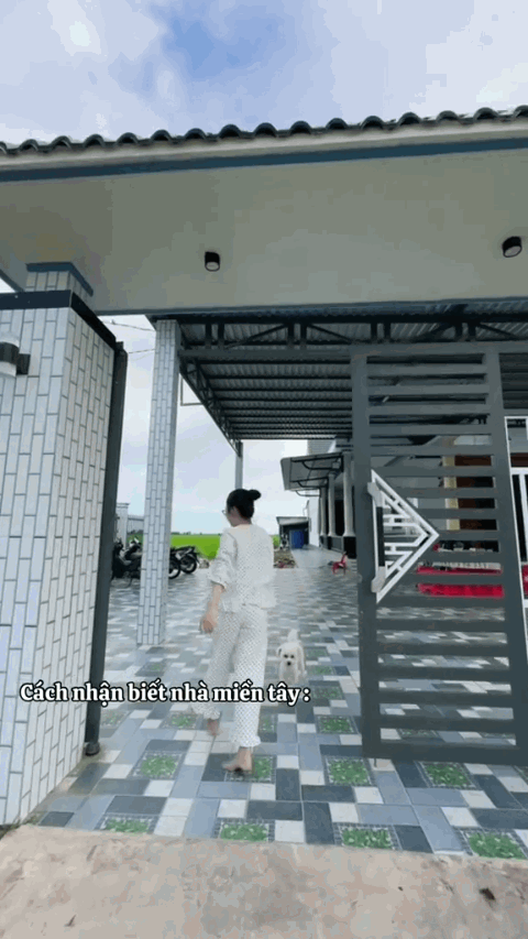  - Ảnh 5.