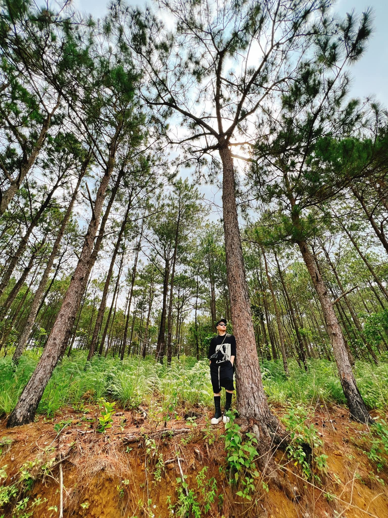Đỗ Mạnh Cường và hành trình đầu tư vườn trái cây ở Lâm Đồng cùng biệt thự 2 . 000 M² - Ảnh 5.