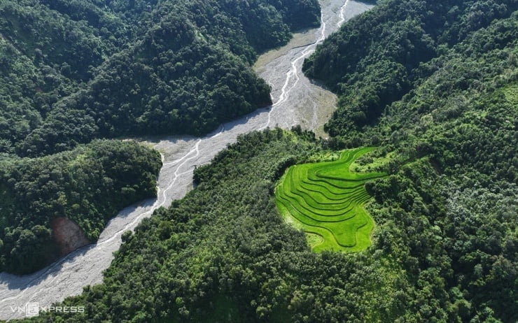 Phát hiện Phát hiện