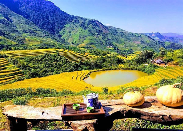 Phát hiện