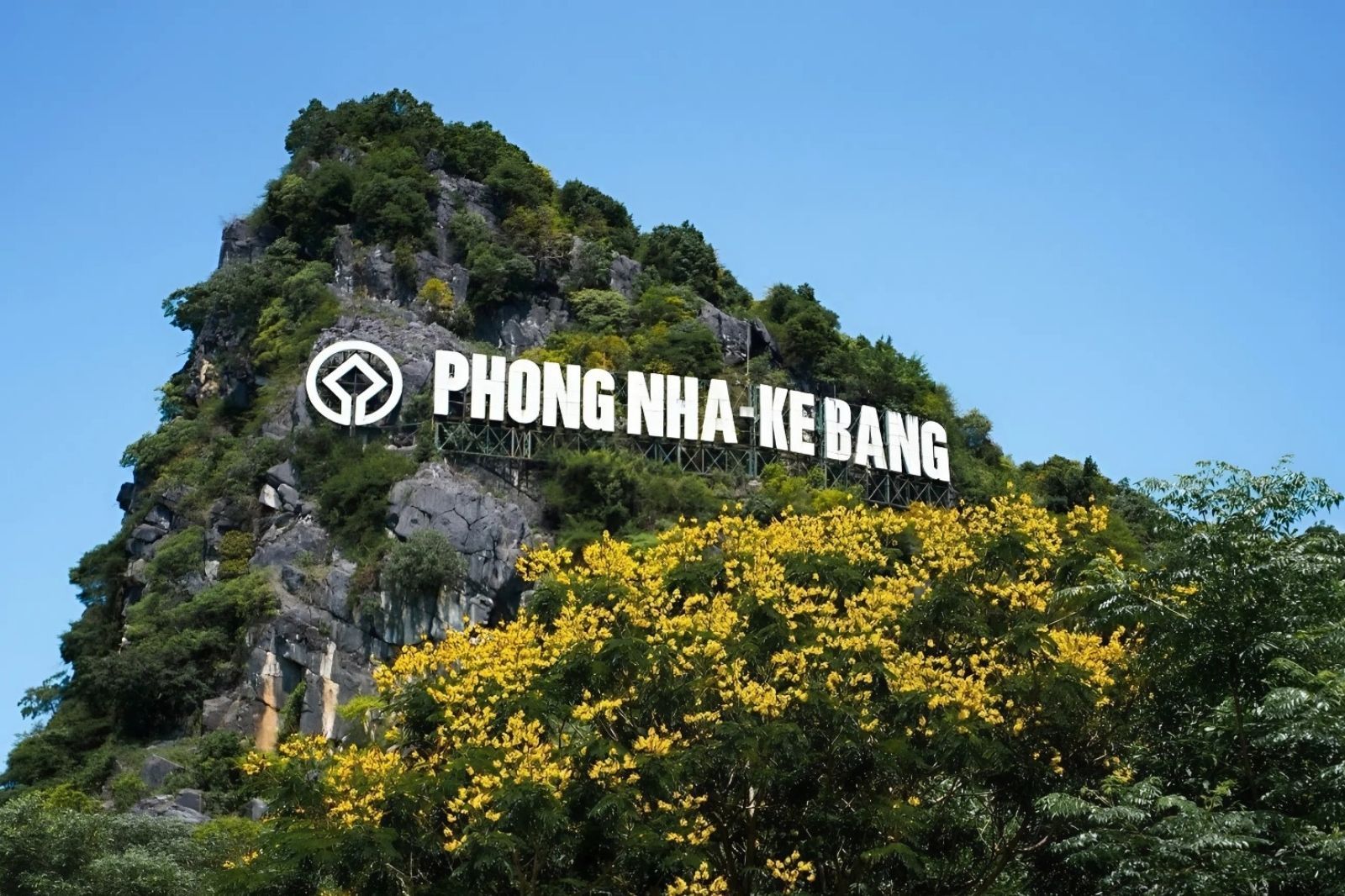  - Ảnh 4.