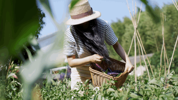 Cuộc sống mới của người phụ nữ 39 tuổi sau khi rời thành phố về quê - Ảnh 12. Cuộc sống mới của người phụ nữ 39 tuổi sau khi rời thành phố về quê - Ảnh 12.