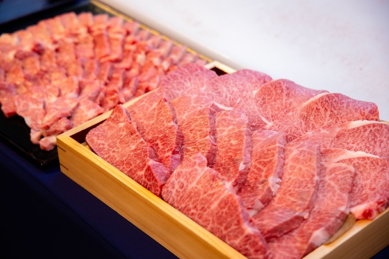Việt Nam ph&aacute;t triển giống b&ograve; H &rsquo; M&ocirc;ng cao cấp , hướng tới thịt b&ograve; chất lượng như Wagyu - Ảnh 1.