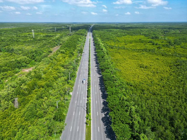 &Ocirc;ng Phạm Nhật Vượng đề xuất n&acirc;ng cấp đường Rừng S&aacute;c kết nối si&ecirc;u đ&ocirc; thị Cần Giờ 2026 - Ảnh 2.