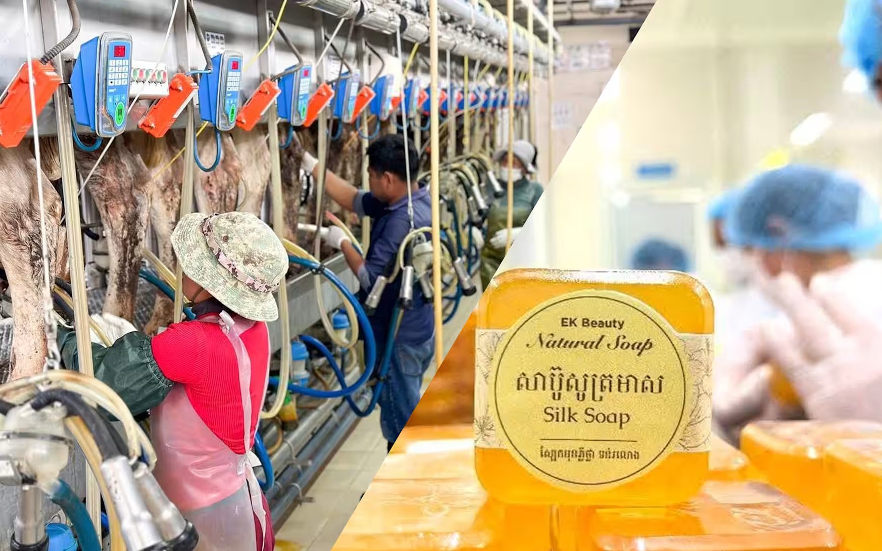 Doanh nghiệp Campuchia lần đầu chứng kiến cảnh mơ ước trong 40 năm