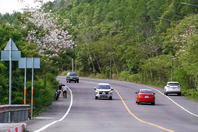 &Ocirc;ng Phạm Nhật Vượng đề xuất n&acirc;ng cấp đường Rừng S&aacute;c kết nối si&ecirc;u đ&ocirc; thị Cần Giờ 2026 - Ảnh 3.
