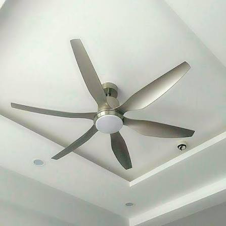  - Ảnh 1.