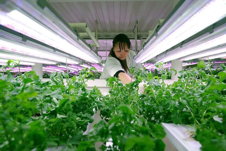 C&oacute; g&igrave; trong mỏ v&agrave;ng khổng lồ nhưng 'c&ocirc; đơn' nhất thế giới? - Ảnh 16.