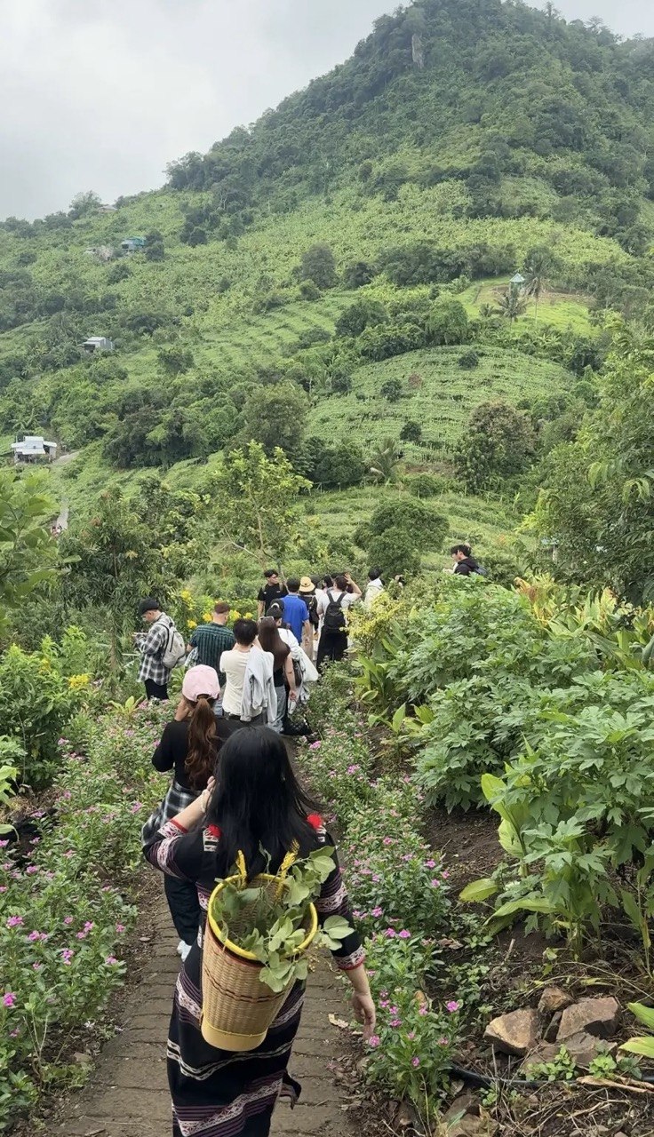  - Ảnh 5.