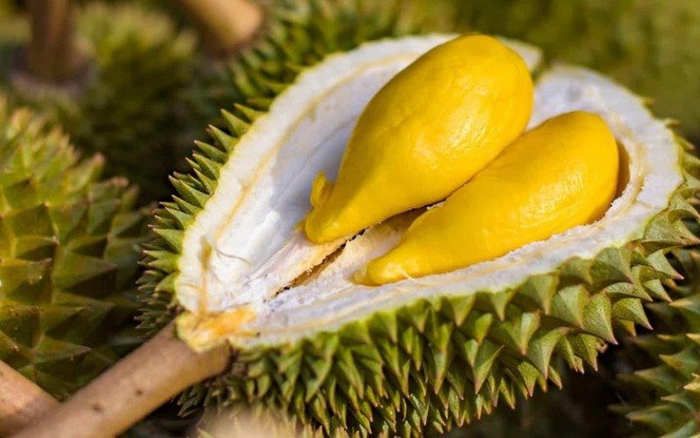 Tỉnh duy nhất của VN t&ecirc;n c&oacute; 2 dấu sắc vừa chứng kiến 3 kỷ lục, b&aacute;n &ldquo;sản vật&rdquo; tỷ USD khiến TQ th&iacute;ch m&ecirc; - Ảnh 3.