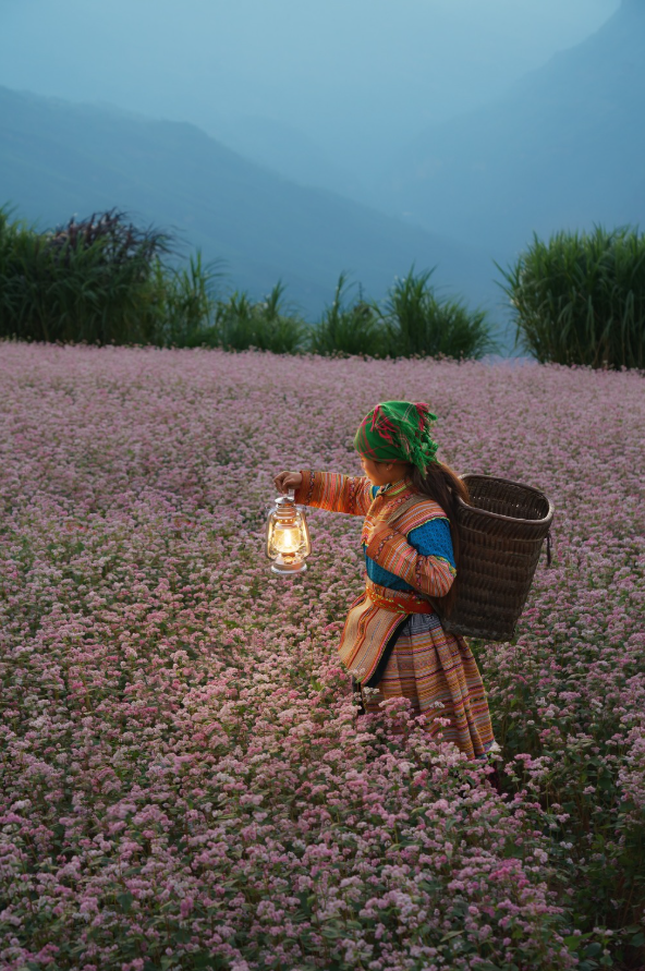 Phát hiện địa danh Việt Nam lọt Top 10 đẹp nhất thế giới, có thảo nguyên rộng 90 ha như