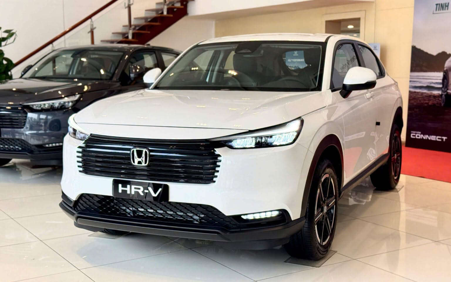  - Ảnh 2.