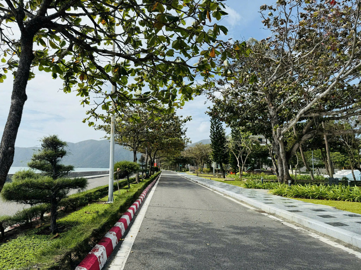  - Ảnh 3.