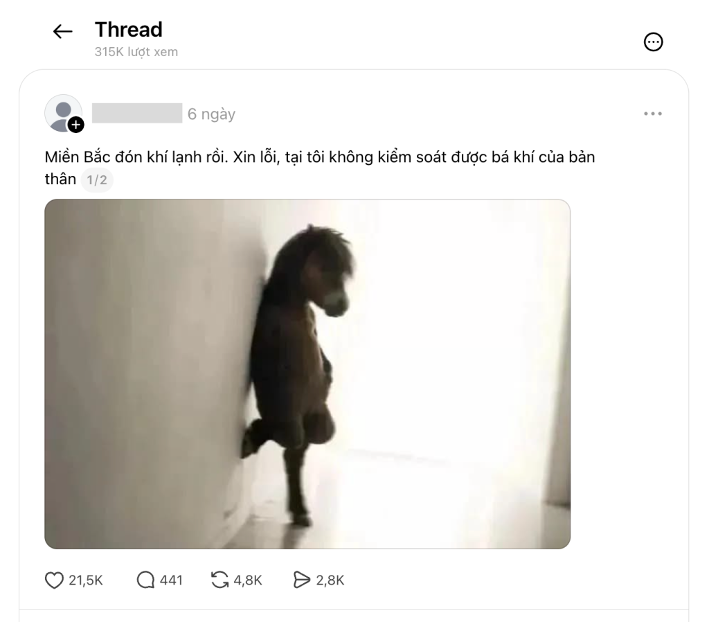  - Ảnh 3.