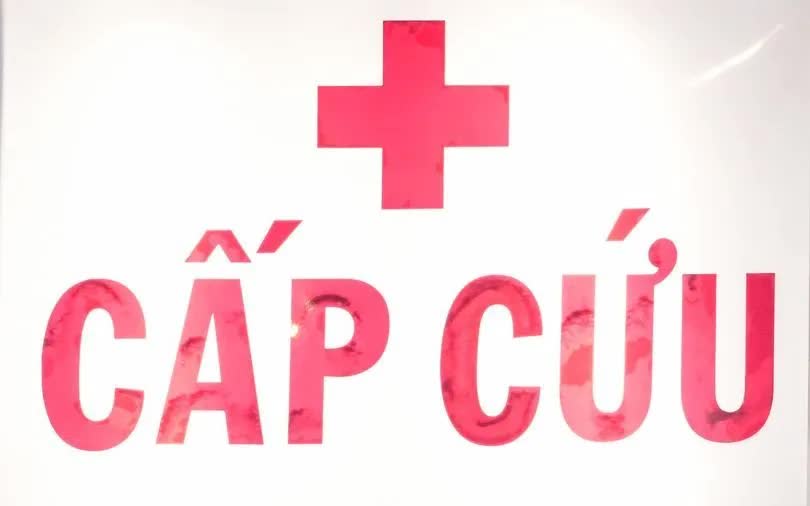  - Ảnh 1.
