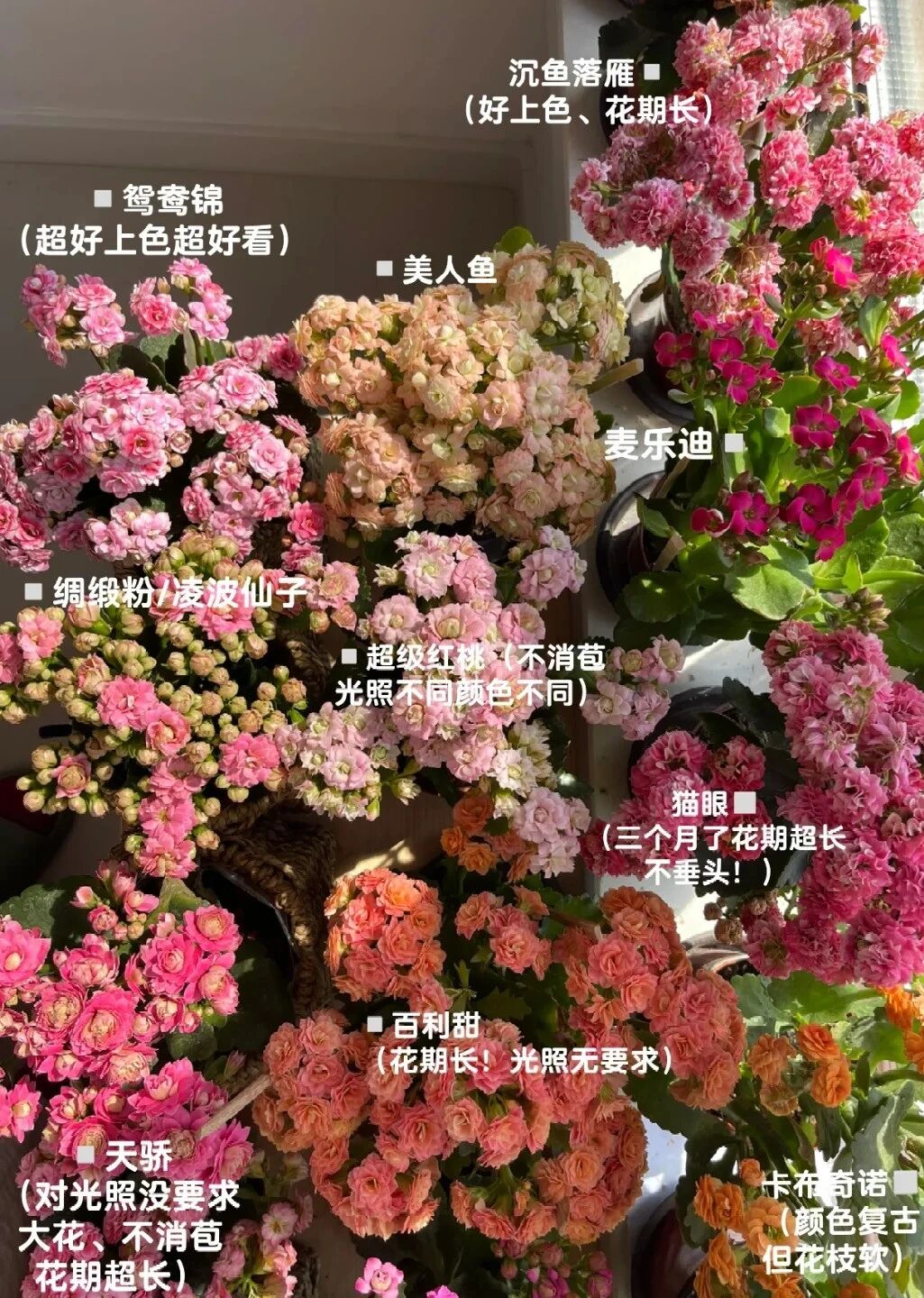Căn nhà nhỏ của cụ bà 92 tuổi: Cuộc sống bình yên và tự tại - Ảnh 7. Căn nhà nhỏ của cụ bà 92 tuổi: Cuộc sống bình yên và tự tại - Ảnh 7.