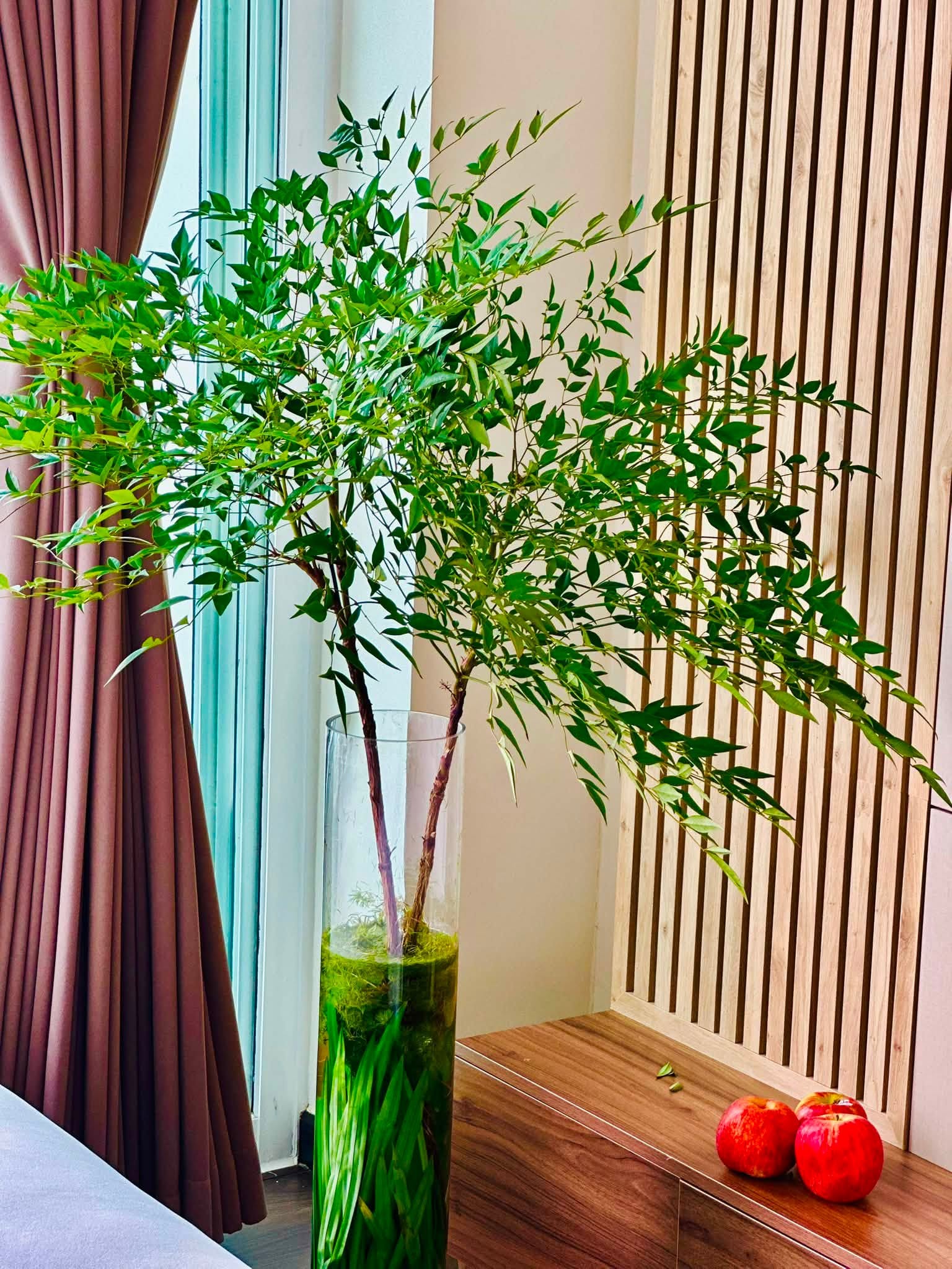 Đoan Trang khoe căn penthouse 280 m&sup2; sang trọng , cuộc sống vi&ecirc;n m&atilde;n b&ecirc;n chồng T&acirc;y - Ảnh 9.