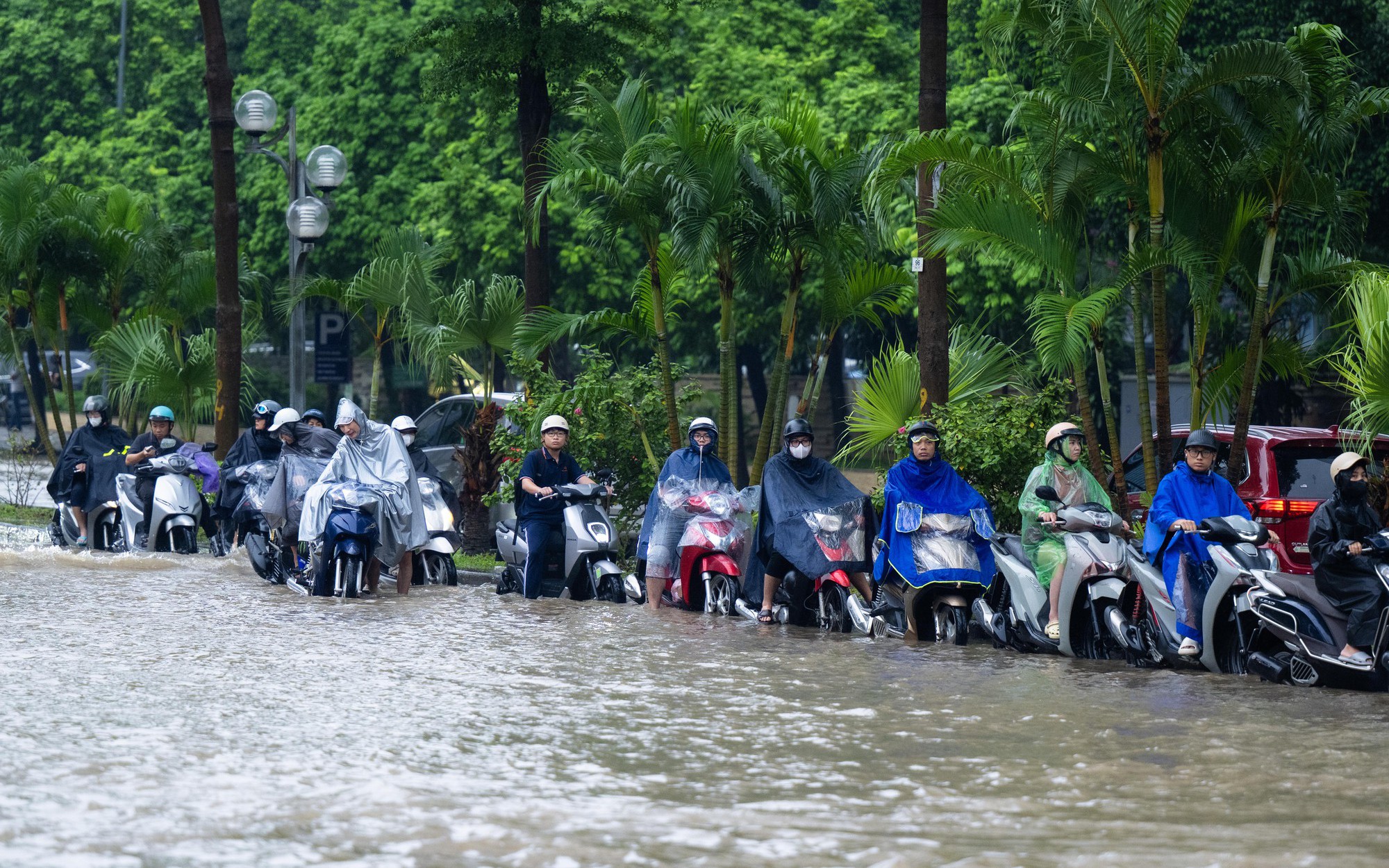 Tin mới nhất về đợt mưa to đến rất to tại nhiều tỉnh thành trong 2 ngày tới