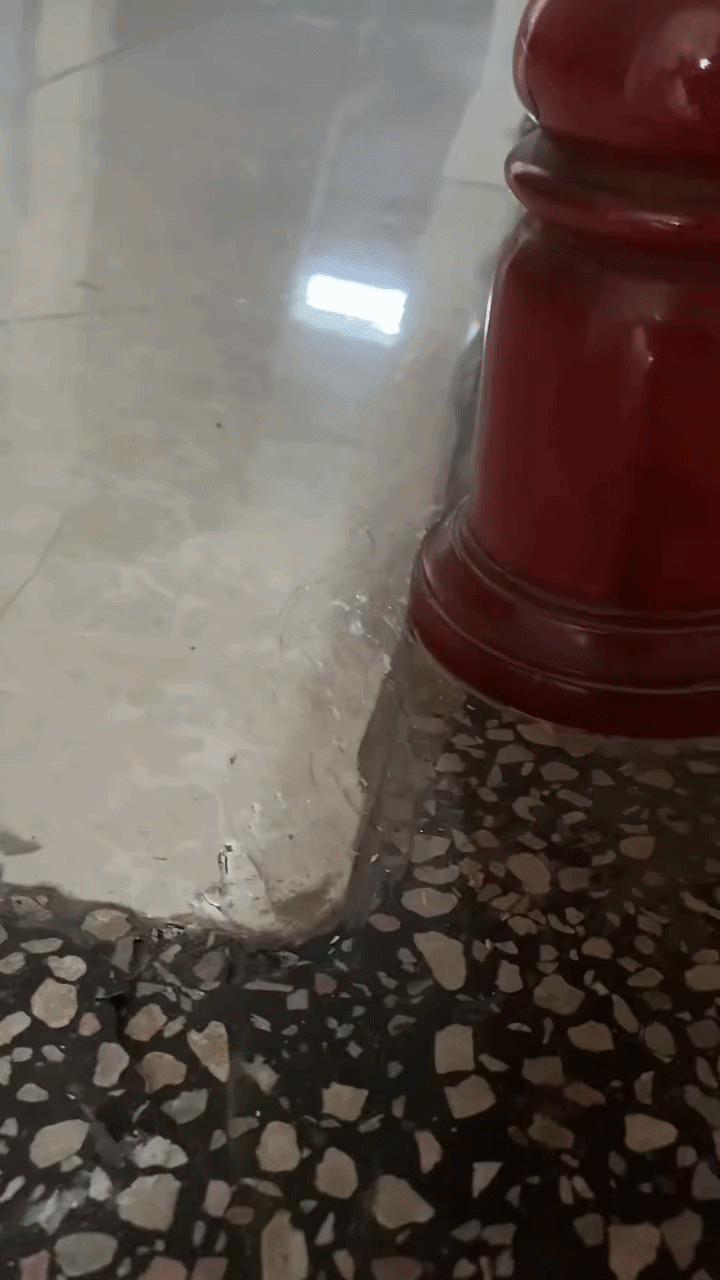 Lời khuyên cho những gia đình có gạch lát nền bị phồng rộp, nứt vỡ - Ảnh 1.
