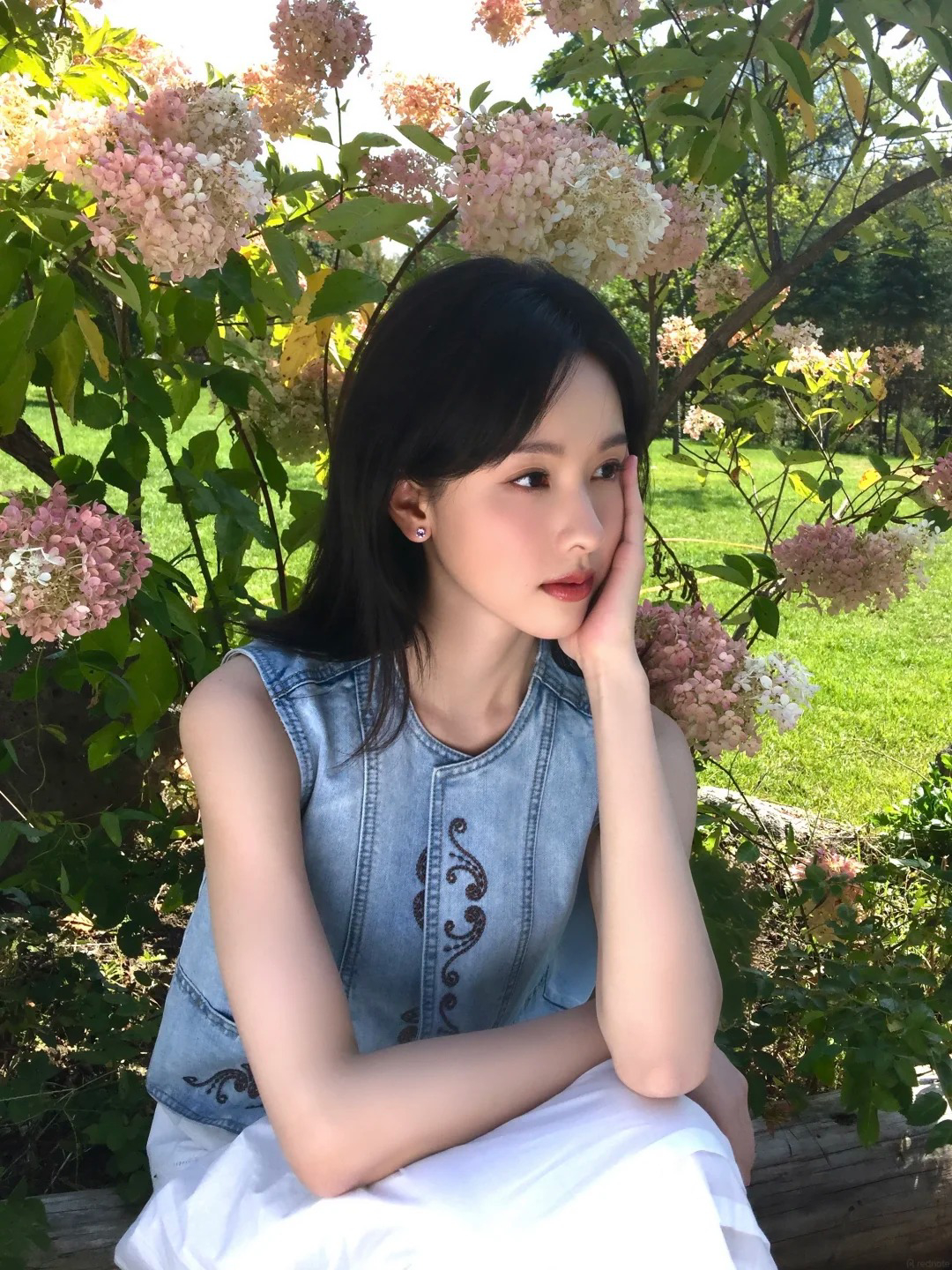  - Ảnh 2.
