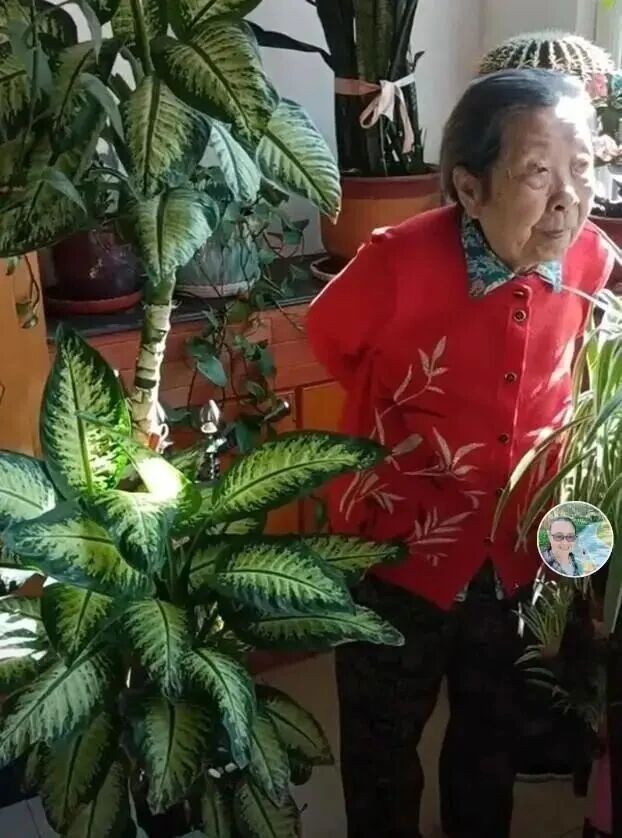 Cụ b&agrave; 94 tuổi sống tự tại với 300 . 000 Người h&acirc;m mộ v&agrave; những bức tranh đẹp - Ảnh 6.