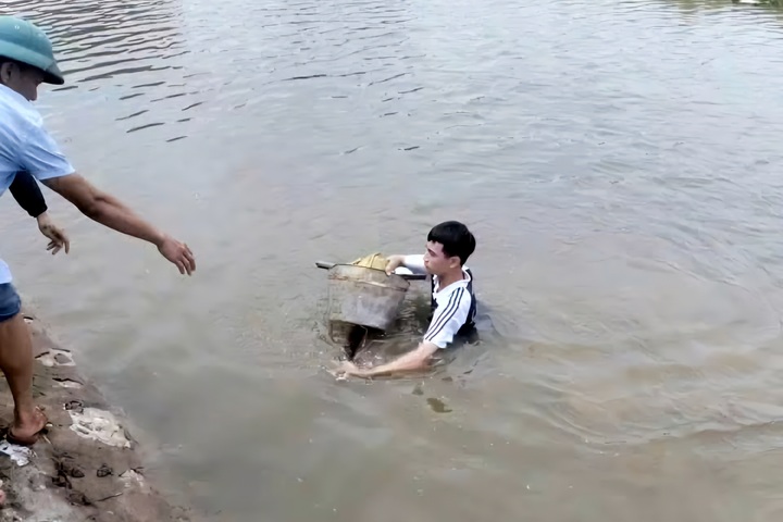  - Ảnh 1.