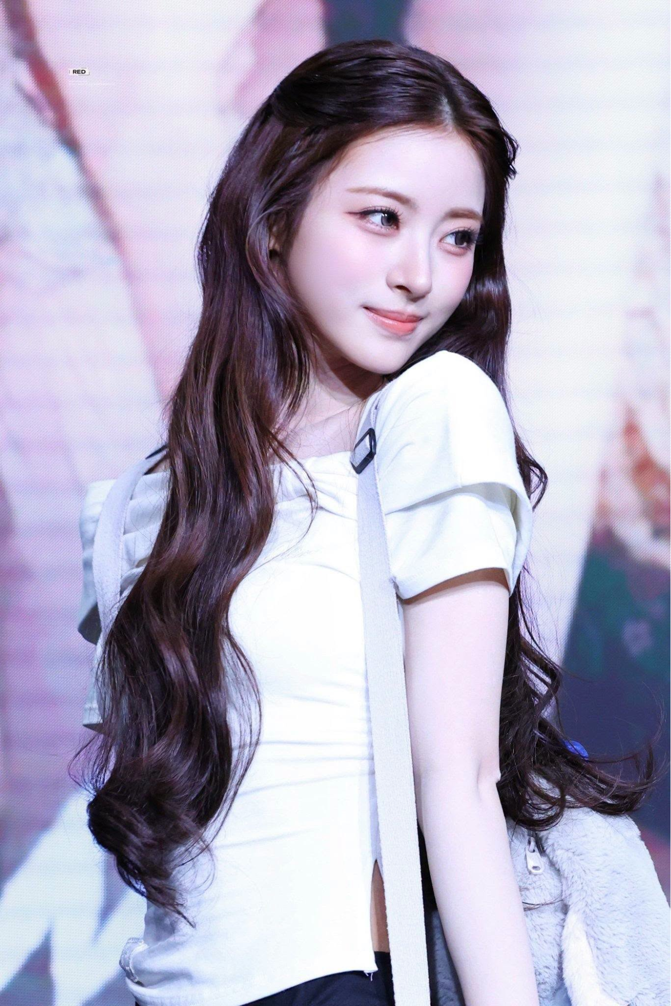 - Ảnh 5. - Ảnh 5.