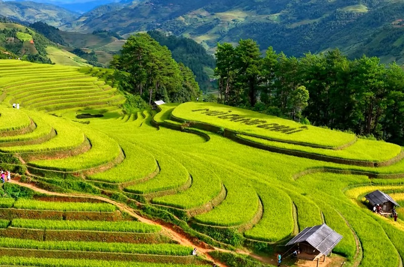 M&ugrave; Cang Chải: Điểm du lịch sắc m&agrave;u nhất thế giới năm 2026 - Ảnh 2.