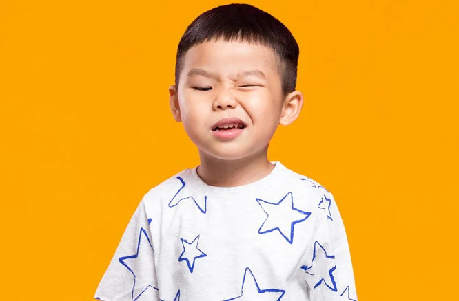  - Ảnh 5.