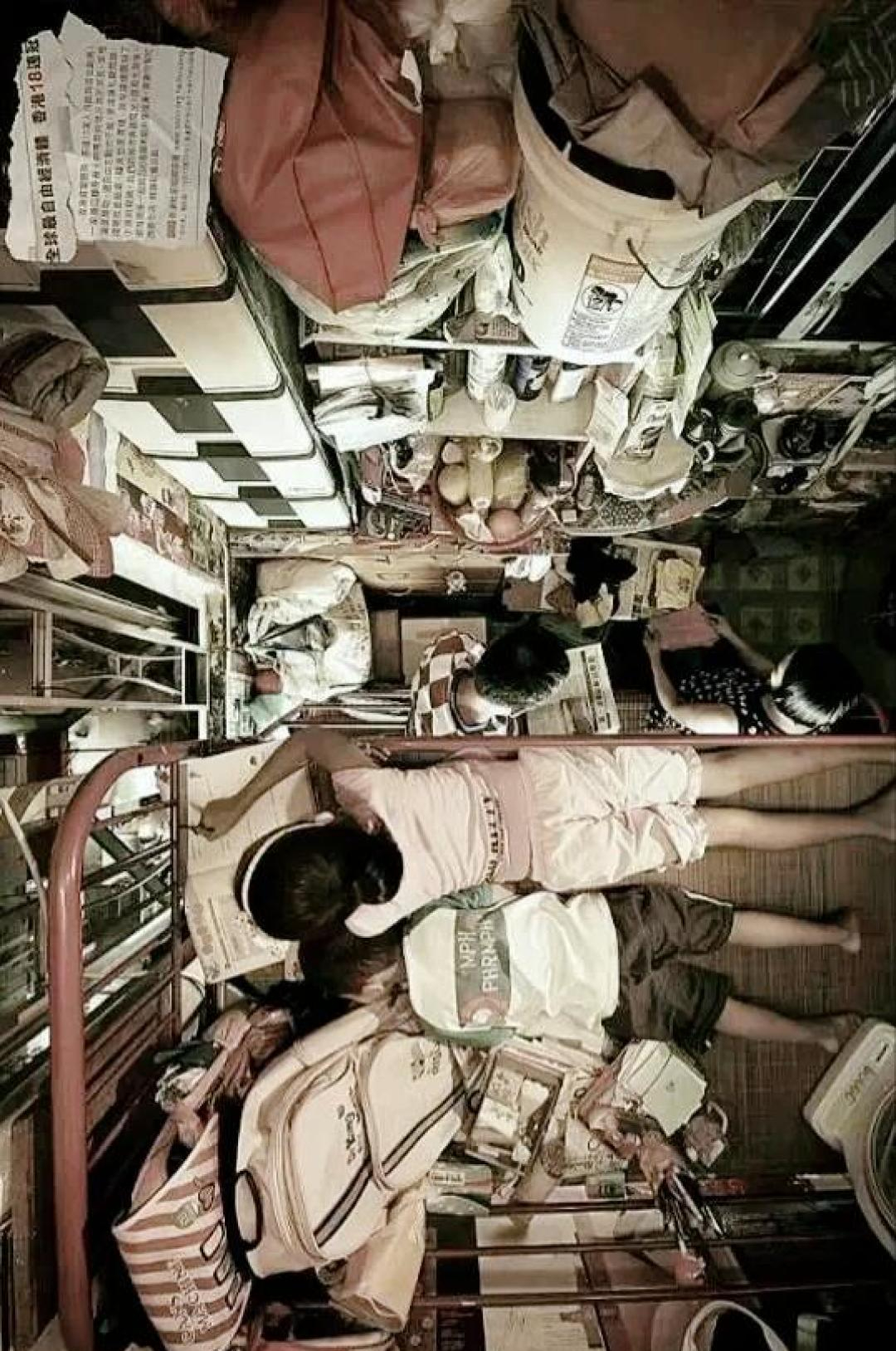  - Ảnh 4.