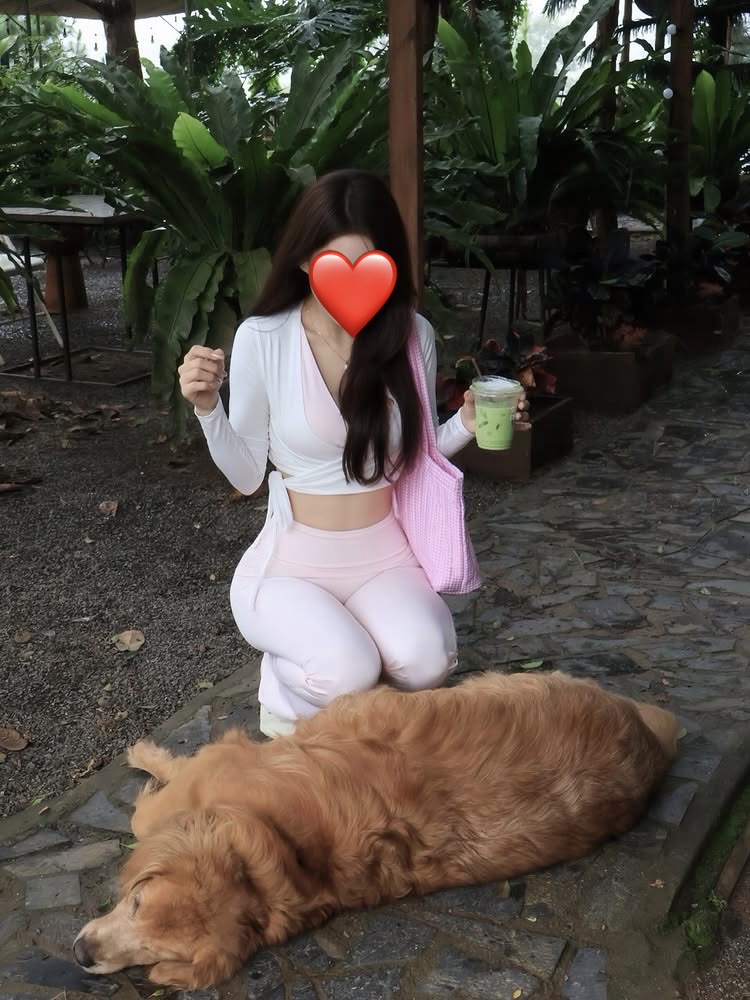  - Ảnh 2.