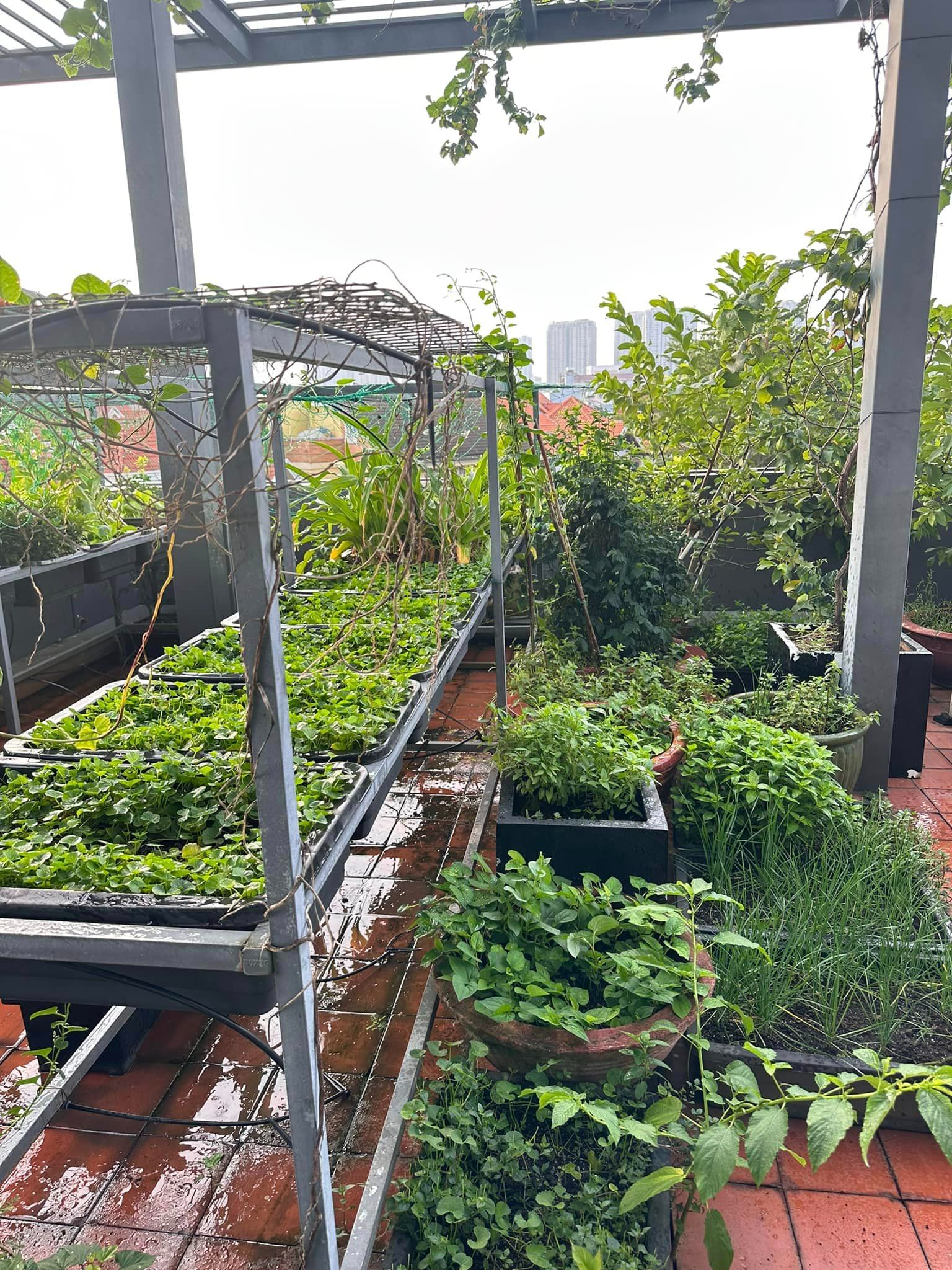 Diệp Bảo Ngọc v&agrave; cuộc sống mẹ đơn th&acirc;n trong ng&ocirc;i nh&agrave; phố 100 m&sup2; tuyệt đẹp - Ảnh 8.