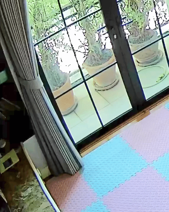 Cho cháu uống sữa, bà thấy có mùi lạ, xem lại camera thì bàng hoàng với hành vi của người giúp việc - Ảnh 1.
