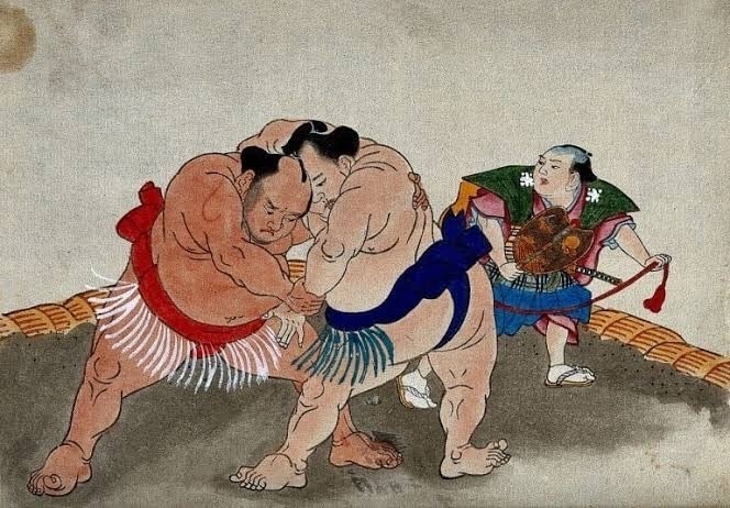 B&iacute; ẩn về v&oacute;c d&aacute;ng v&agrave; c&acirc;n nặng ' khủng ' của v&otilde; sỹ sumo trong đời sống hiện đại - Ảnh 2.