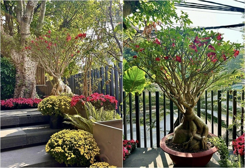 Diệp Bảo Ngọc v&agrave; cuộc sống mẹ đơn th&acirc;n trong ng&ocirc;i nh&agrave; phố 100 m&sup2; tuyệt đẹp - Ảnh 9.