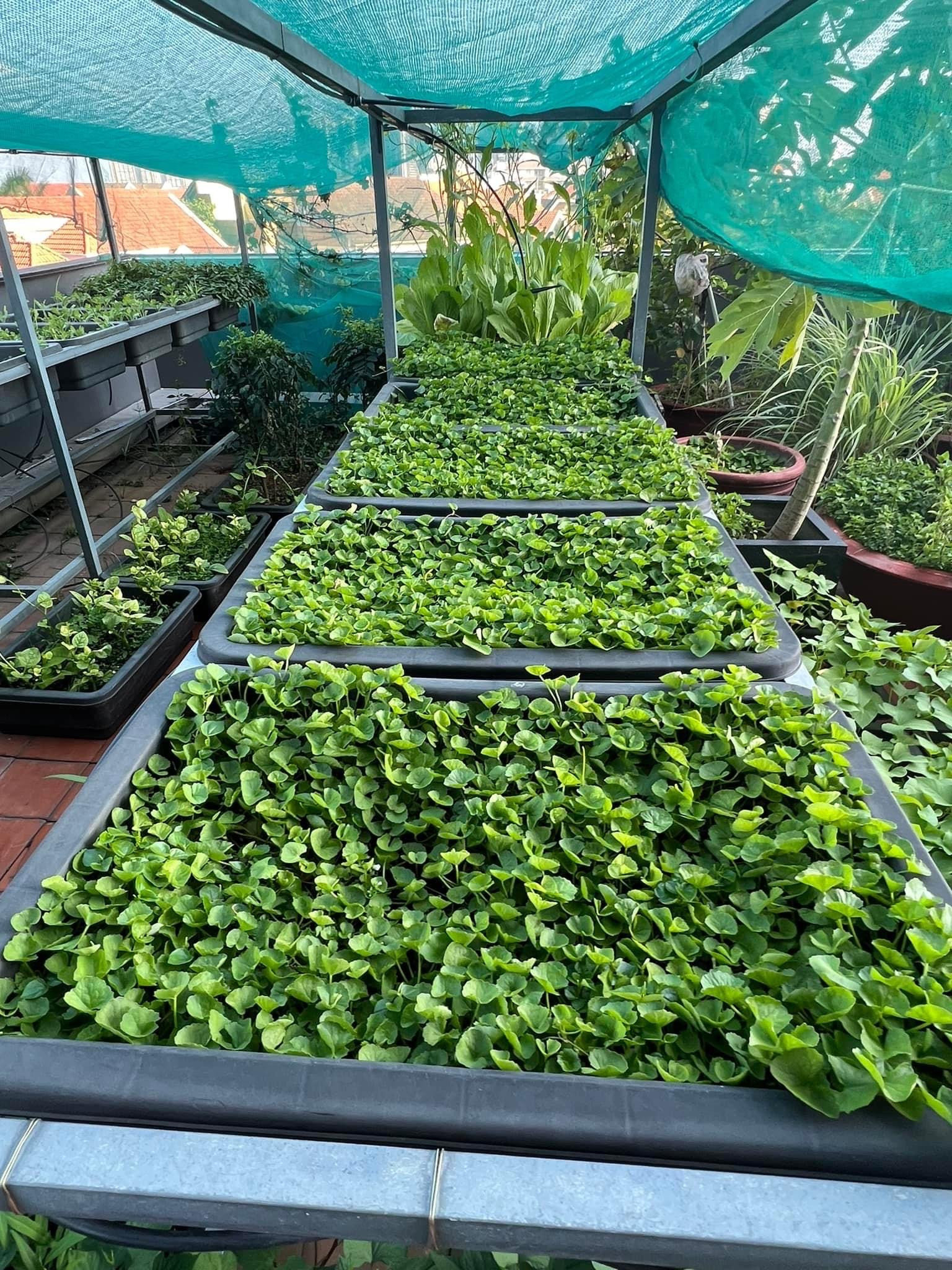Diệp Bảo Ngọc v&agrave; cuộc sống mẹ đơn th&acirc;n trong ng&ocirc;i nh&agrave; phố 100 m&sup2; tuyệt đẹp - Ảnh 7.