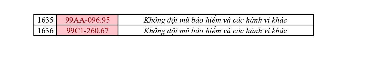  - Ảnh 6.