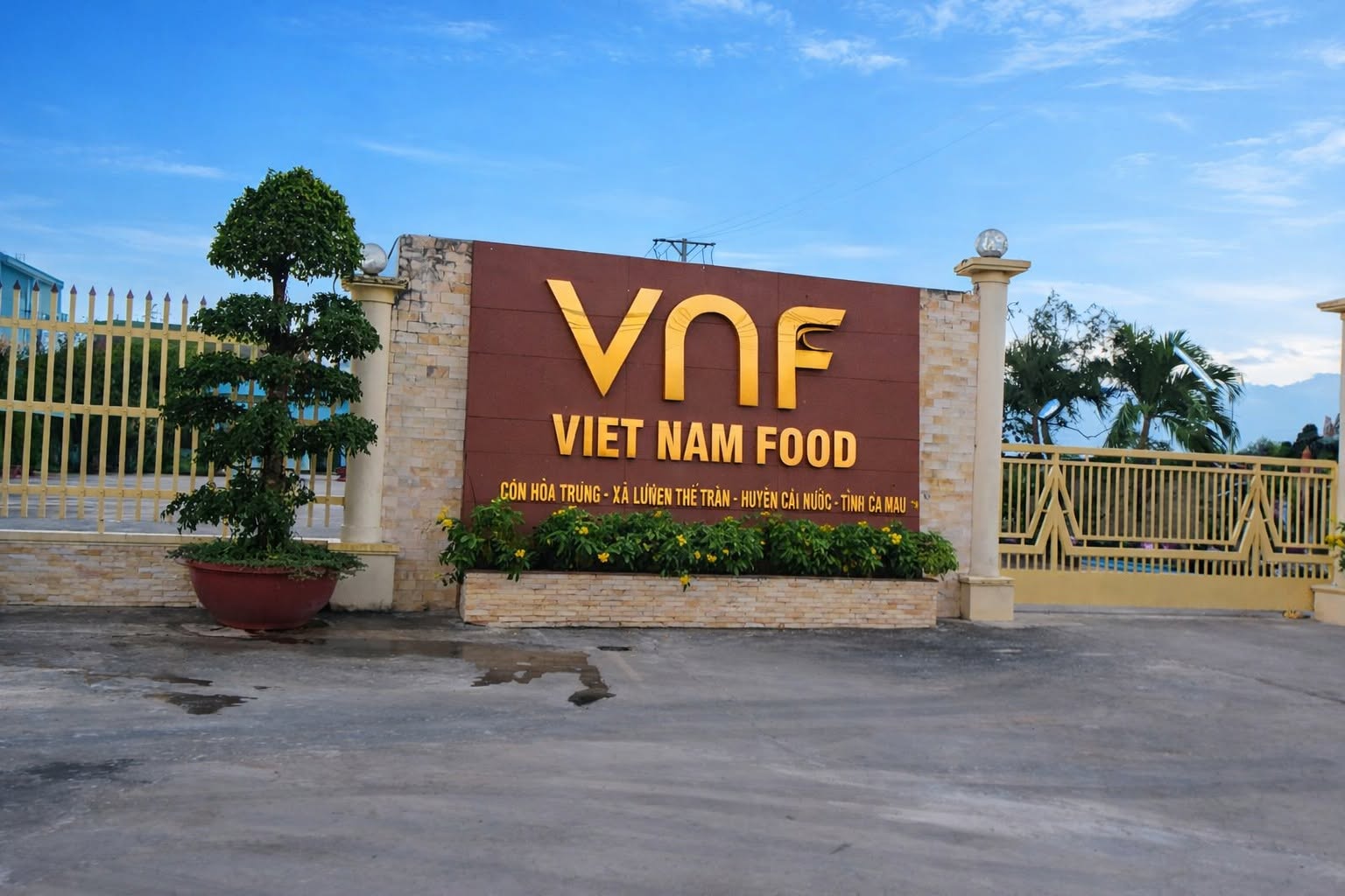  - Ảnh 7.